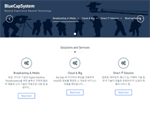 Tablet Screenshot of bluecapsystem.com